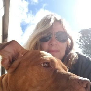 Meet your Posher, Liz